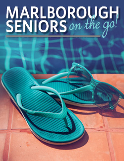August 2026 Newsletter Cover