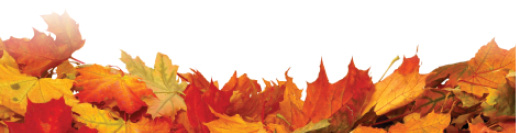 Marlborough Senior Center Banner